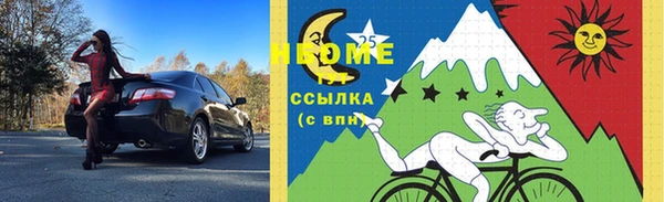 apvp Алзамай