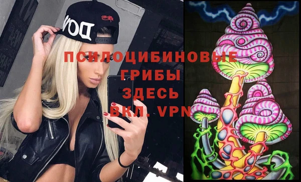 2c-b Алексеевка