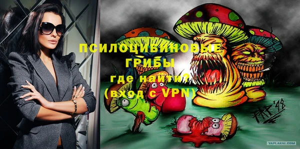 сатива Алексин
