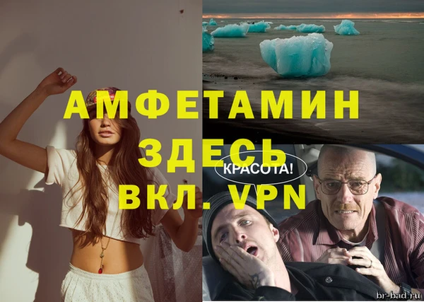 apvp Алзамай