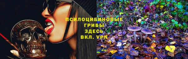 apvp Алзамай