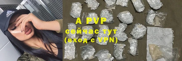 apvp Алзамай