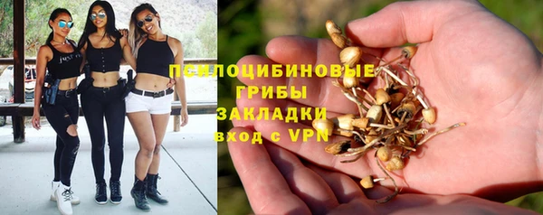 2c-b Алексеевка